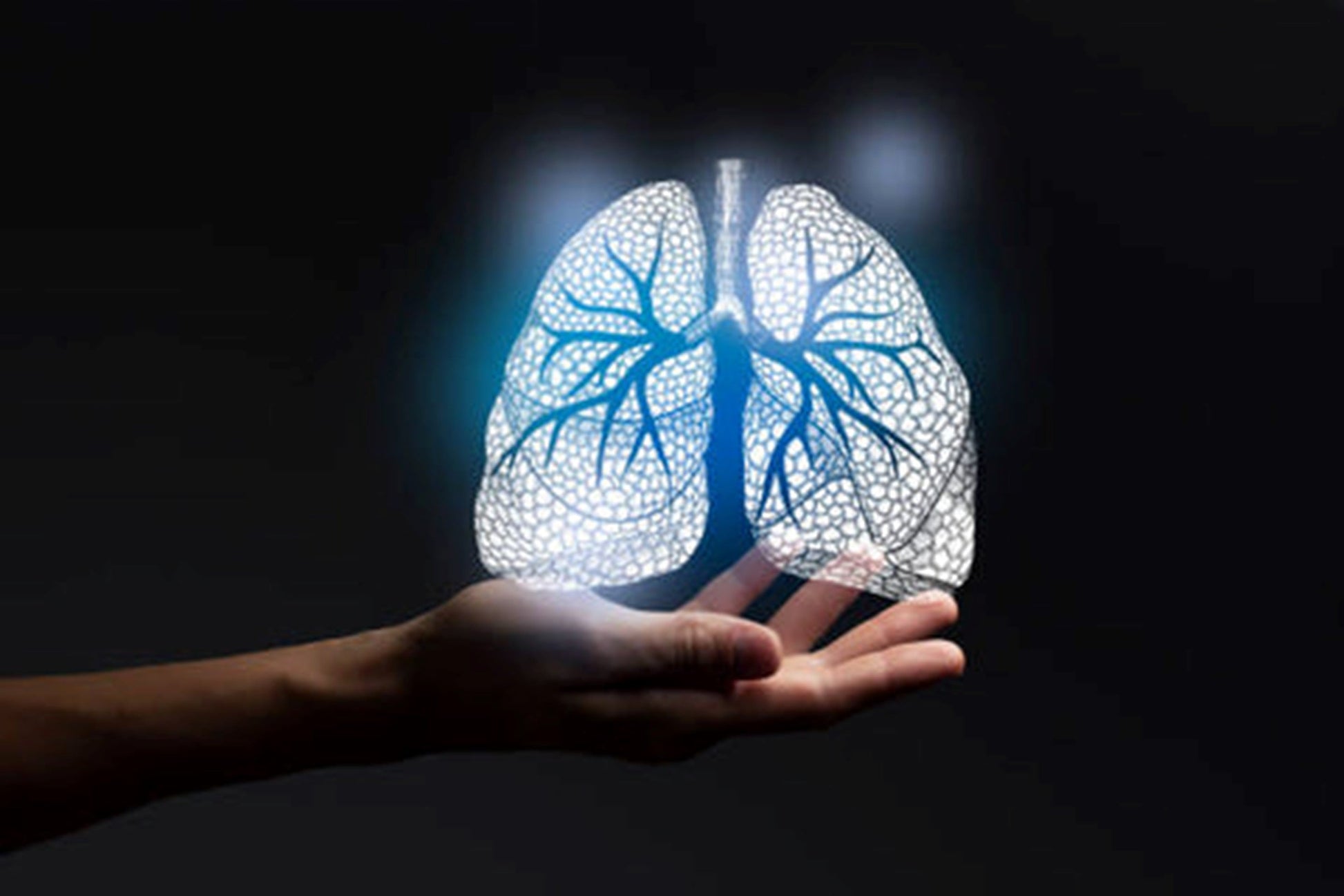 Uno Vita`s RL450MaxC Red Light Therapy Panel (black)