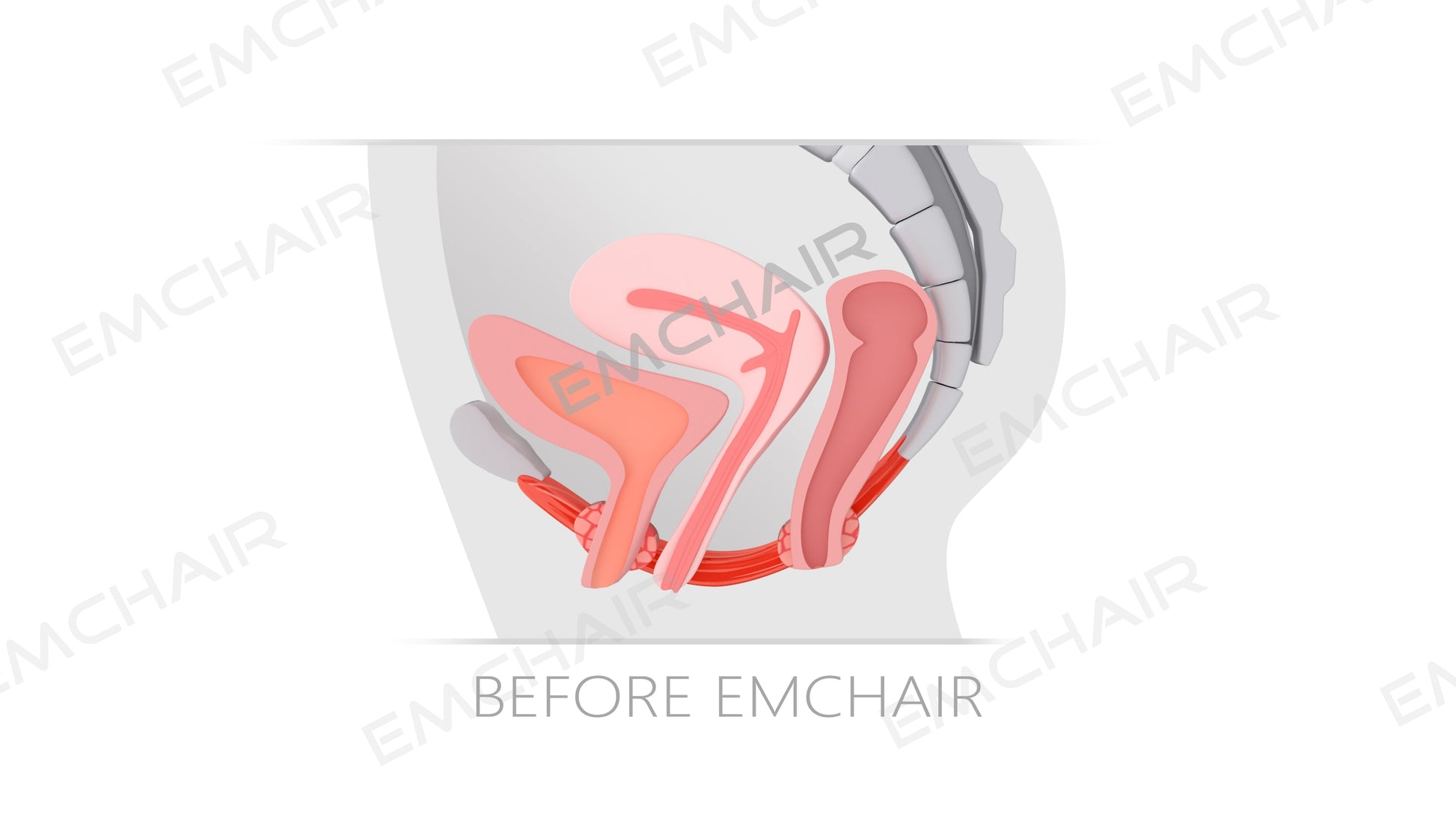 Uno Vita`s EM Chair Pro Pelvic Floor Stimulation