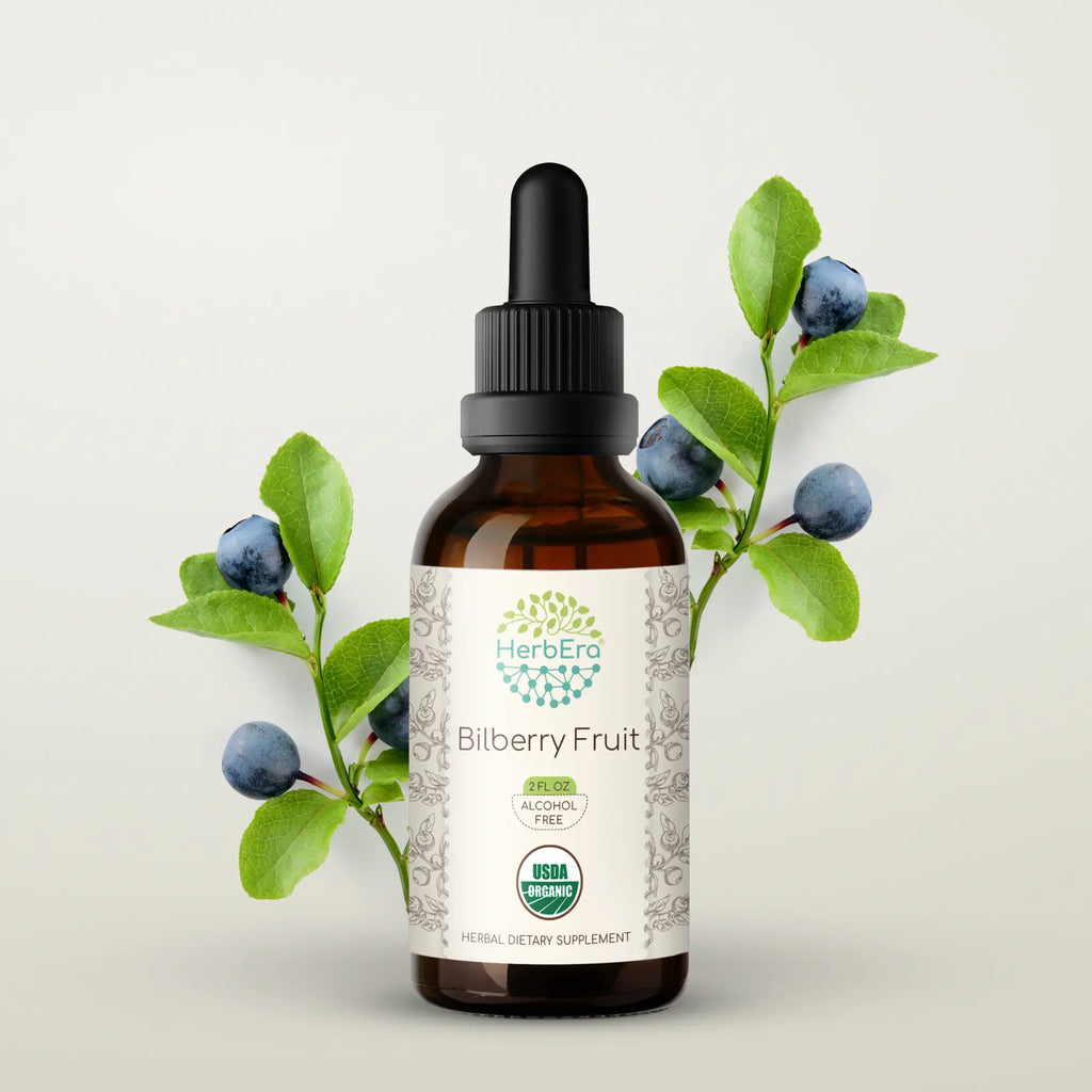 HerbEra Bilberry Fruit Tincture