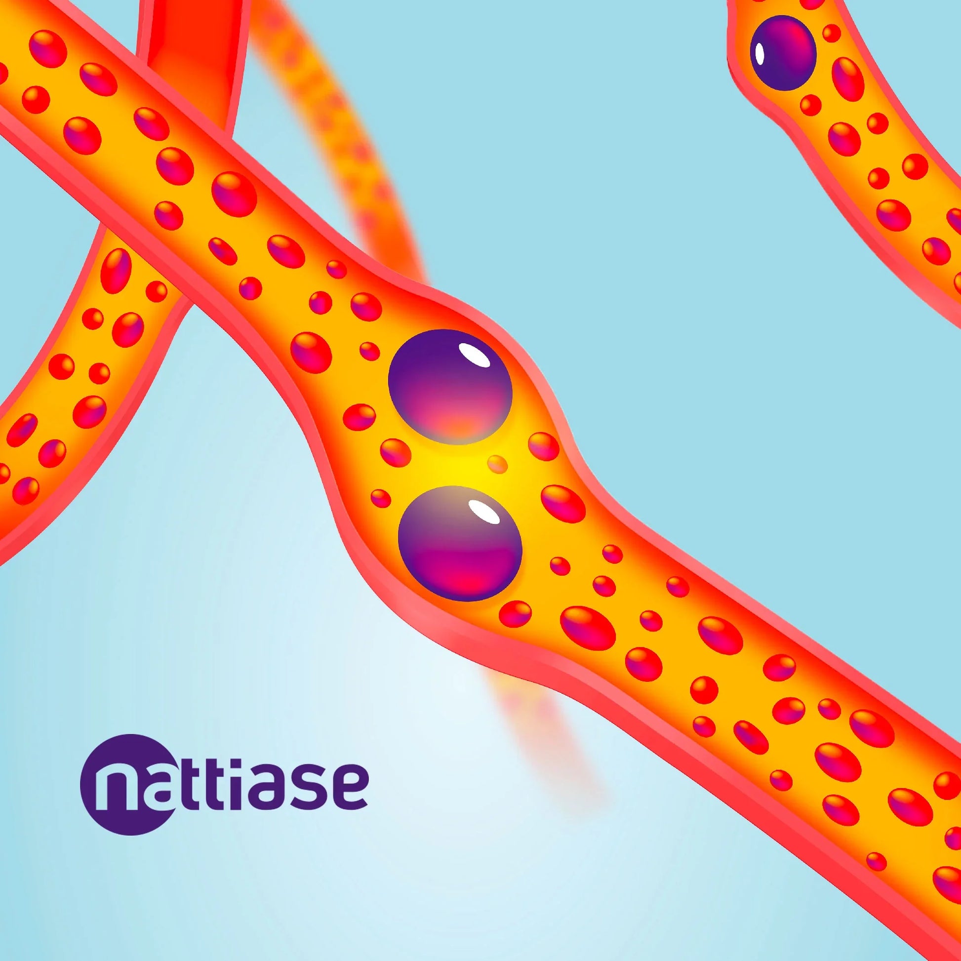 Nattokinase Capsules (2000 FU - 100mg)