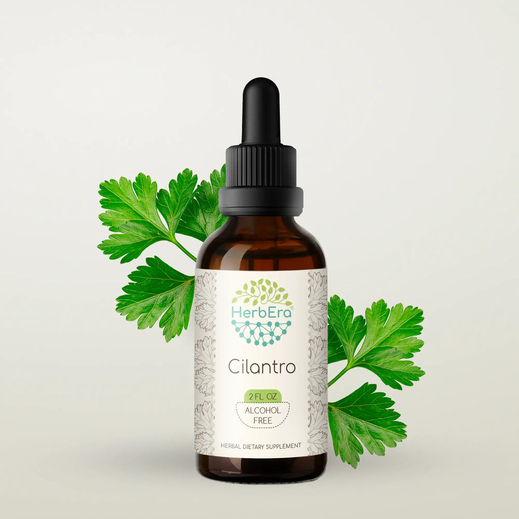 HerbEra Cilantro Tincture