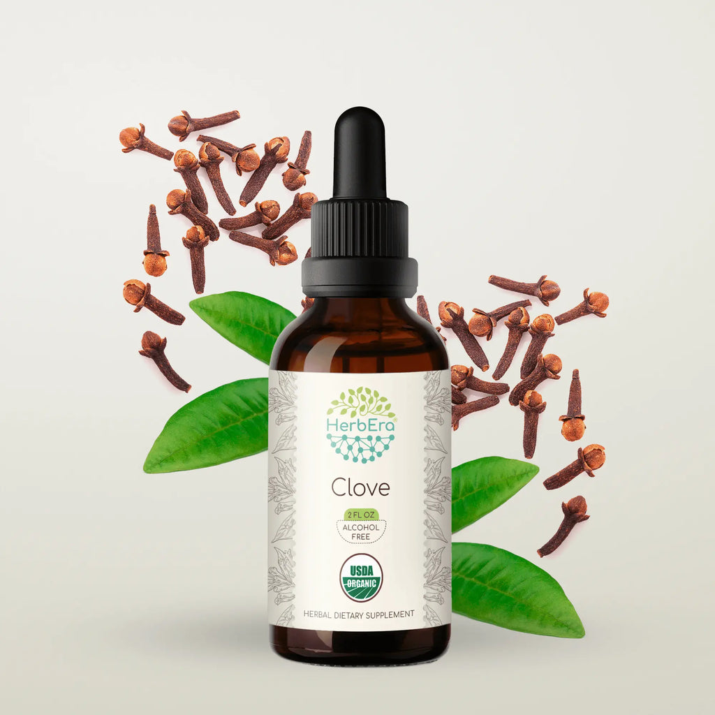 HerbAara Clove Tincture