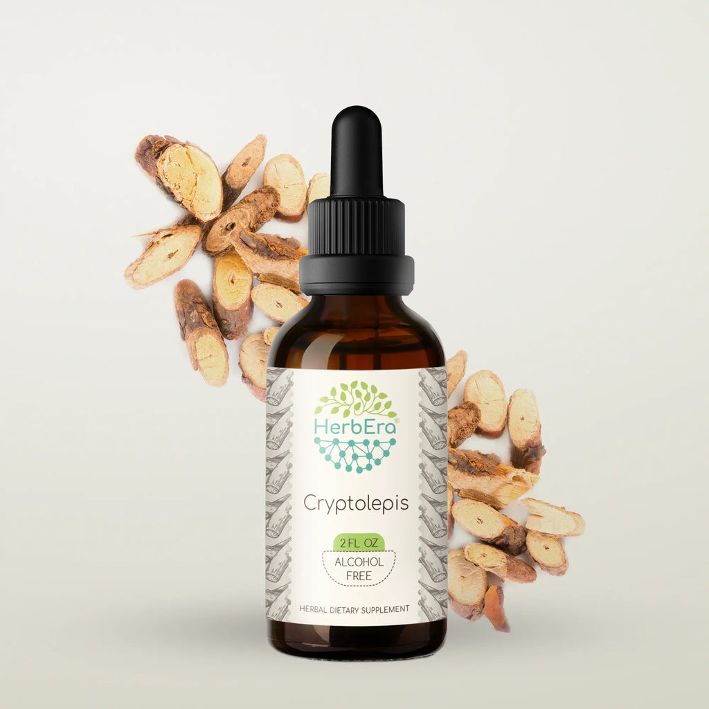 HerbEra Cryptolepis Tincture