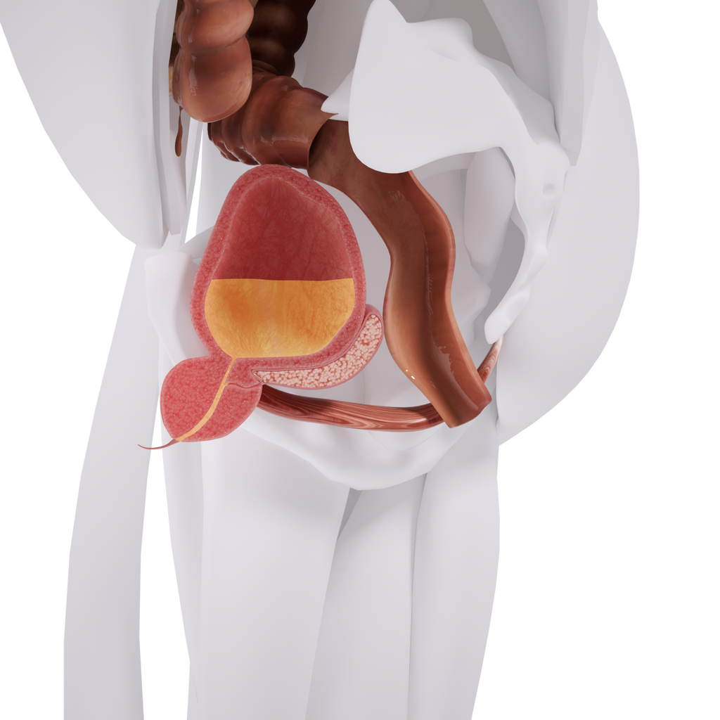 Uno Vita`s EM Chair Mini Pelvic Floor Stimulation