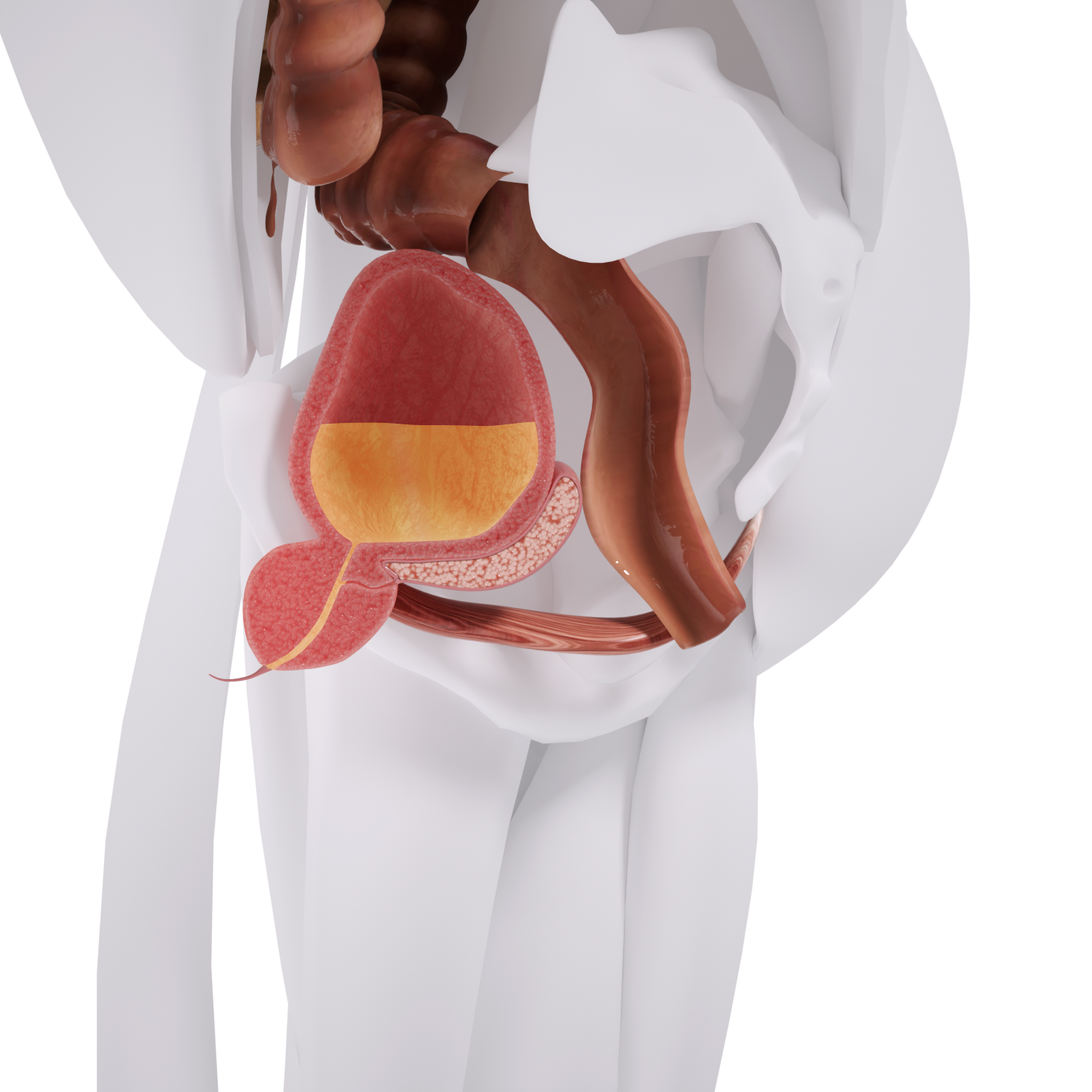 Uno Vita`s EM Chair Mini Pelvic Floor Stimulation