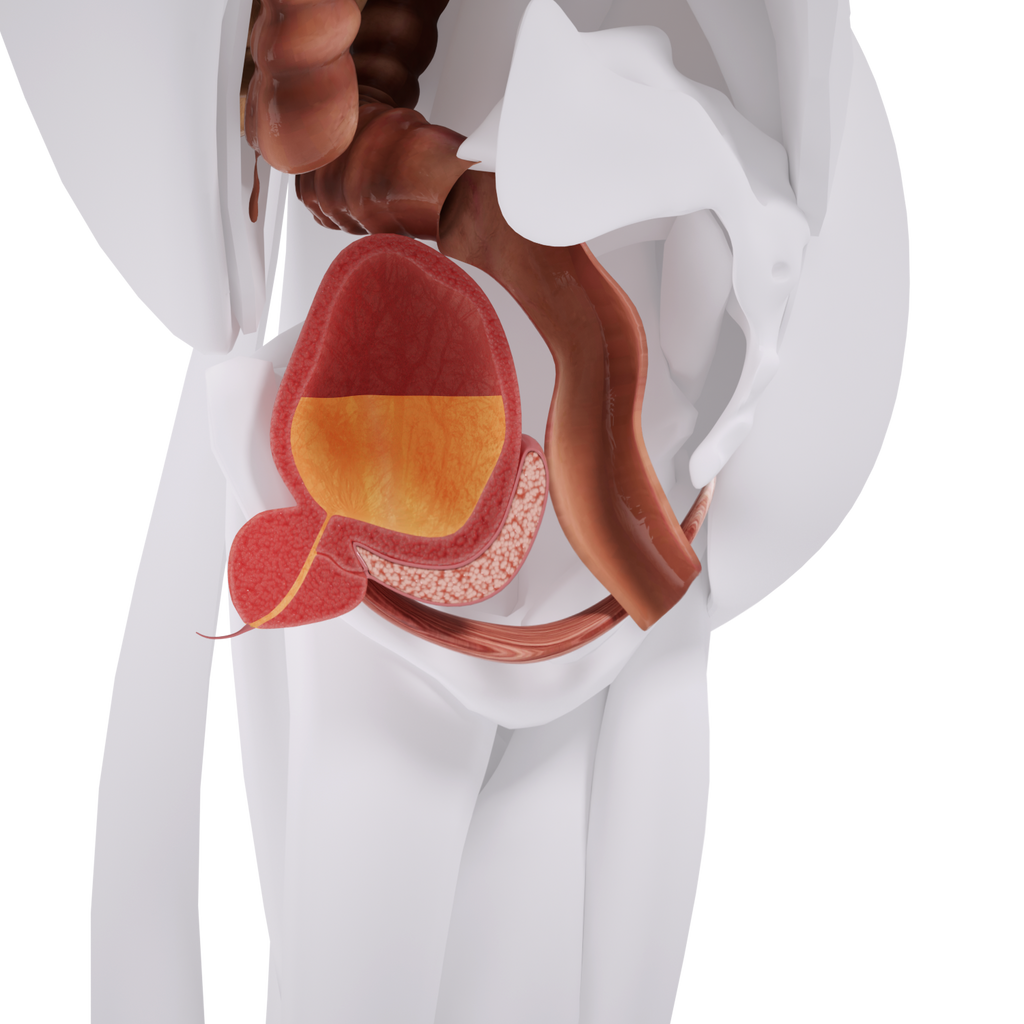 Uno Vita`s EM Chair Mini Pelvic Floor Stimulation