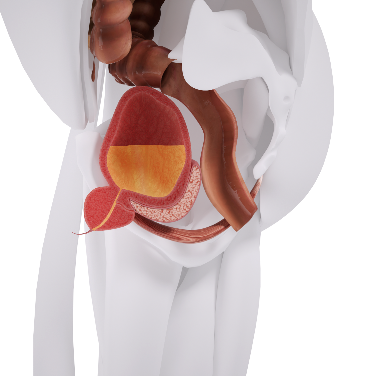 Uno Vita`s EM Chair Mini Pelvic Floor Stimulation