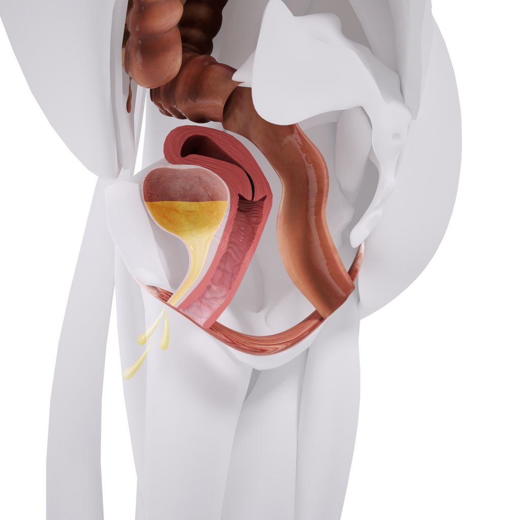 Uno Vita`s EM Chair Mini Pelvic Floor Stimulation