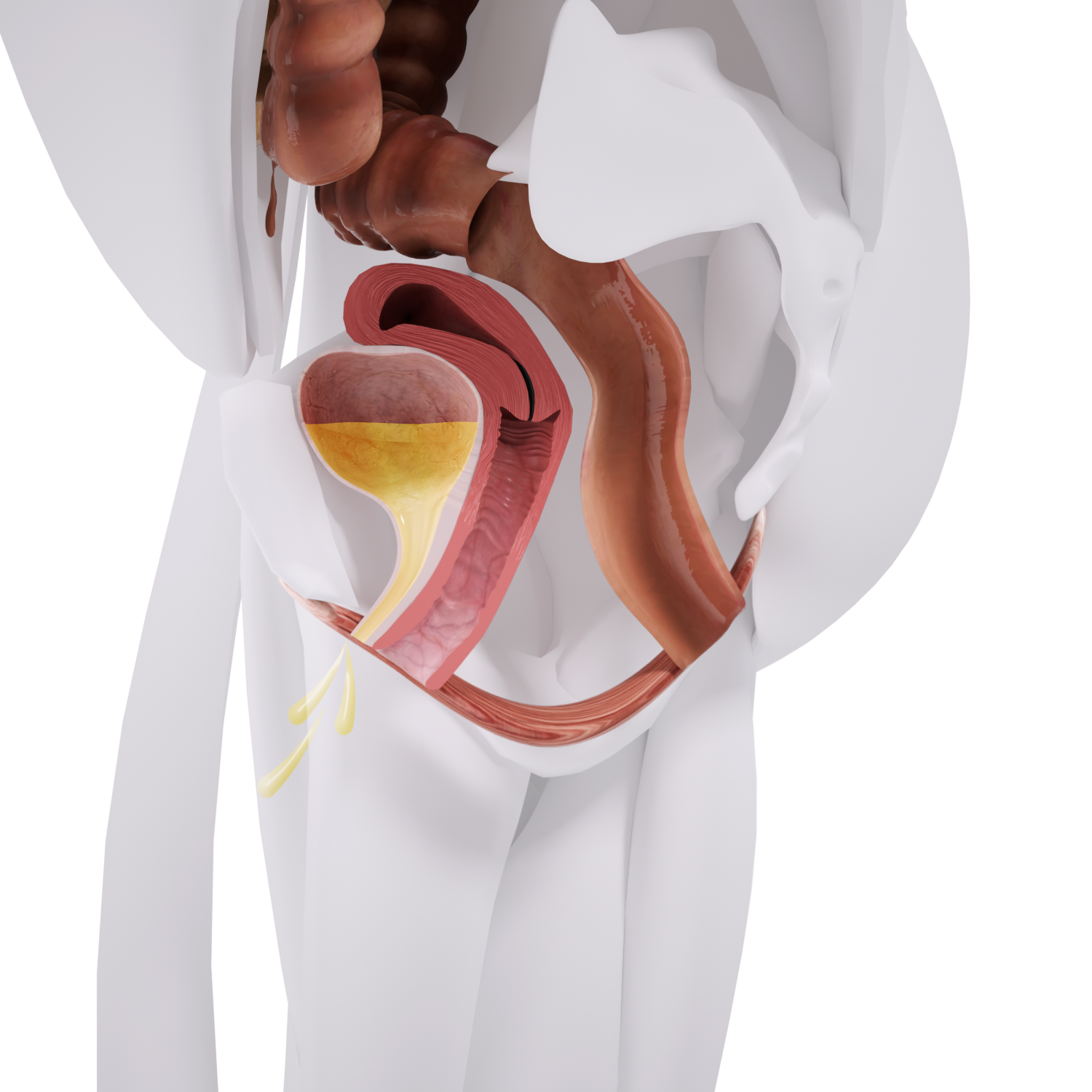 Uno Vita`s EM Chair Mini Pelvic Floor Stimulation