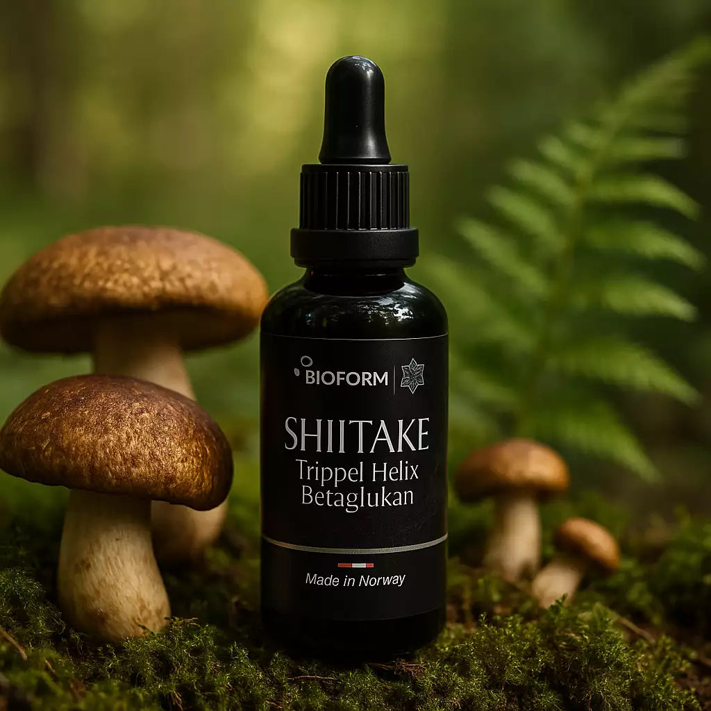 Shiitake Beta-Glucan (Tripple Helix Structure)