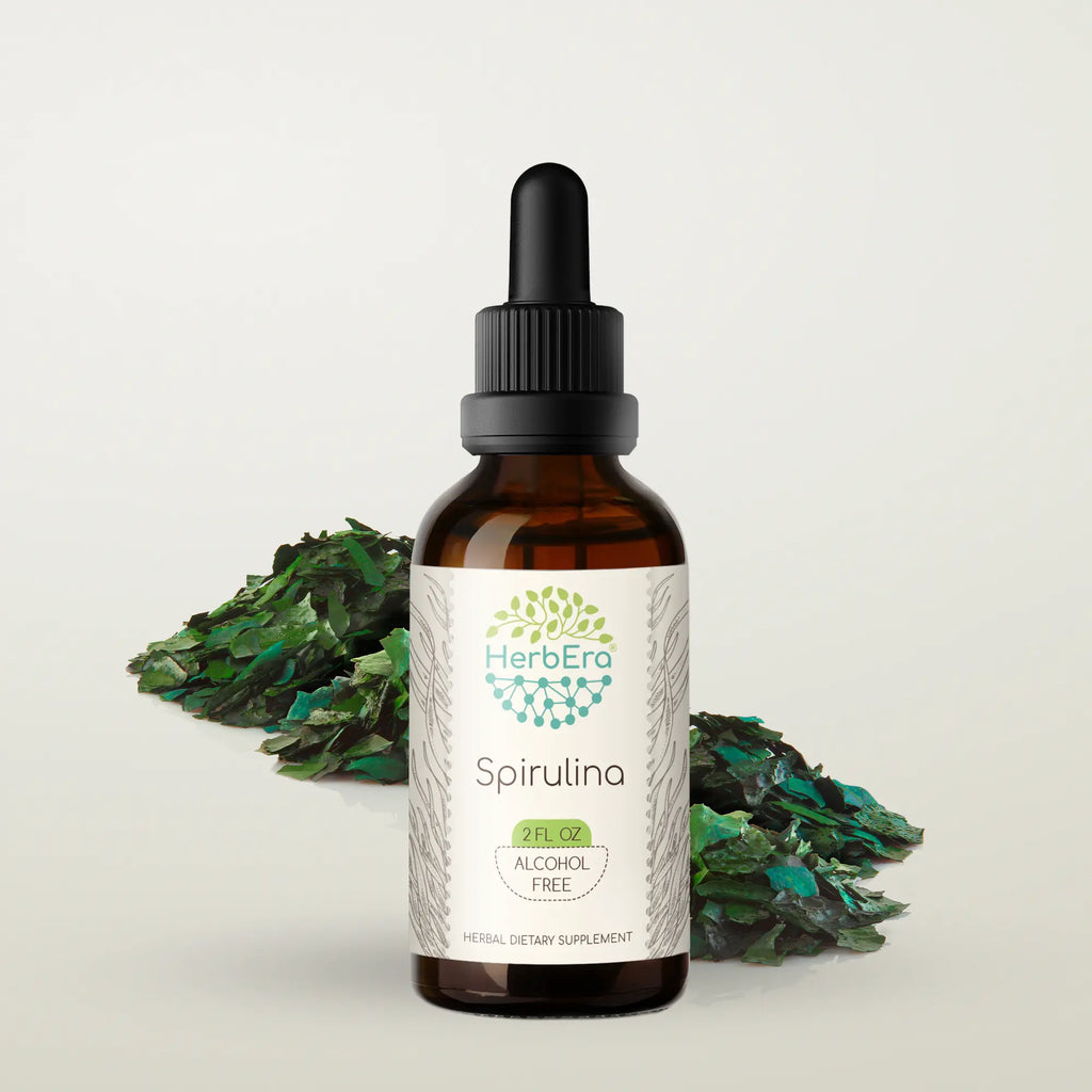 HerbEra Spirulina Tincture
