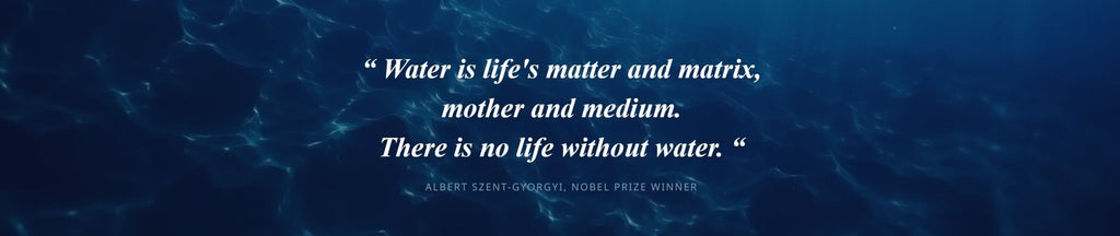 Analemma Whole-House Unit (EU version)