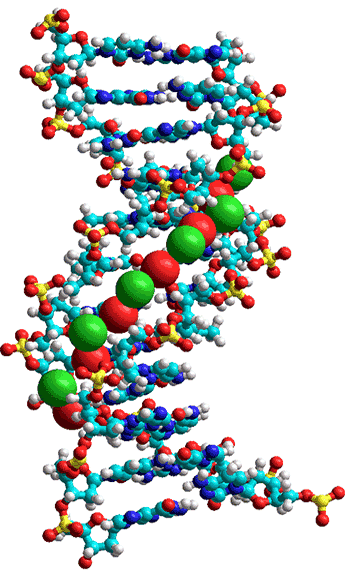 Analemma Whole-House Unit (US version)