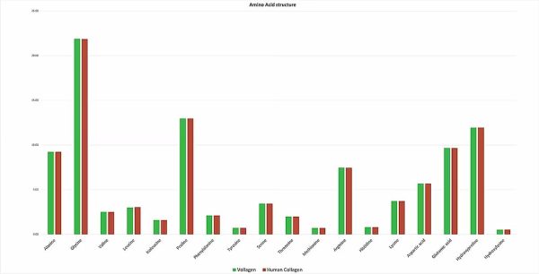 Vollagen® Advanced Vegan Collagen
