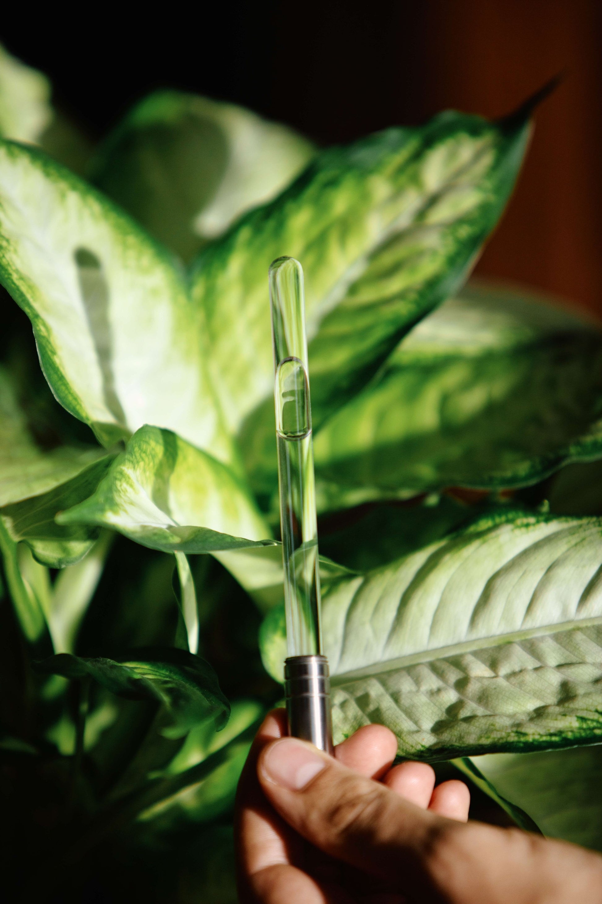 The Analemma Wand (luxury walnut)