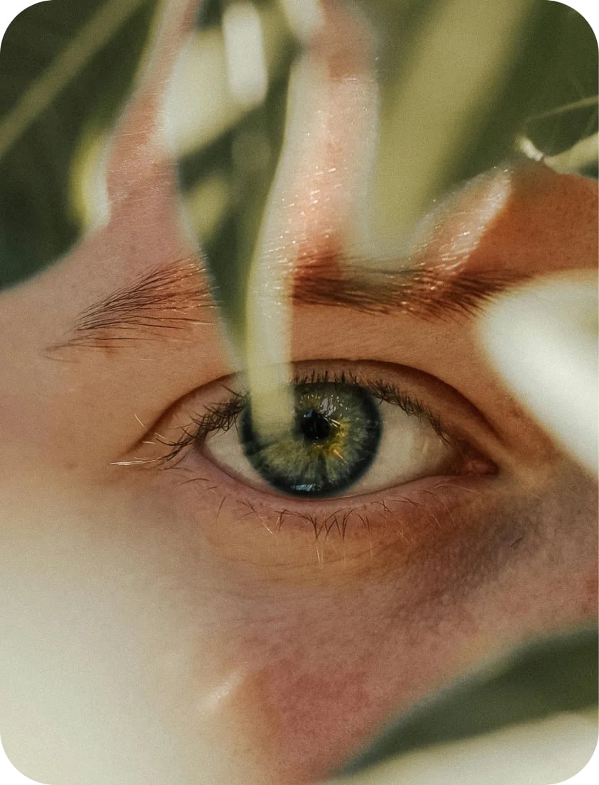 The Analemma Wand (luxury walnut)