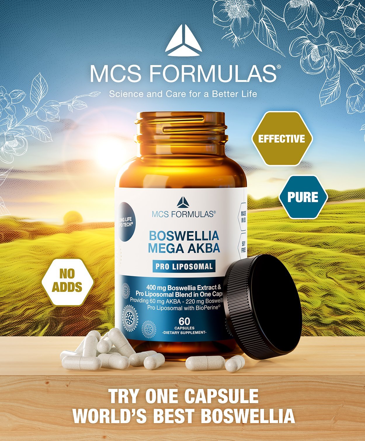 Boswellia MEGA AKBA Liposomal
