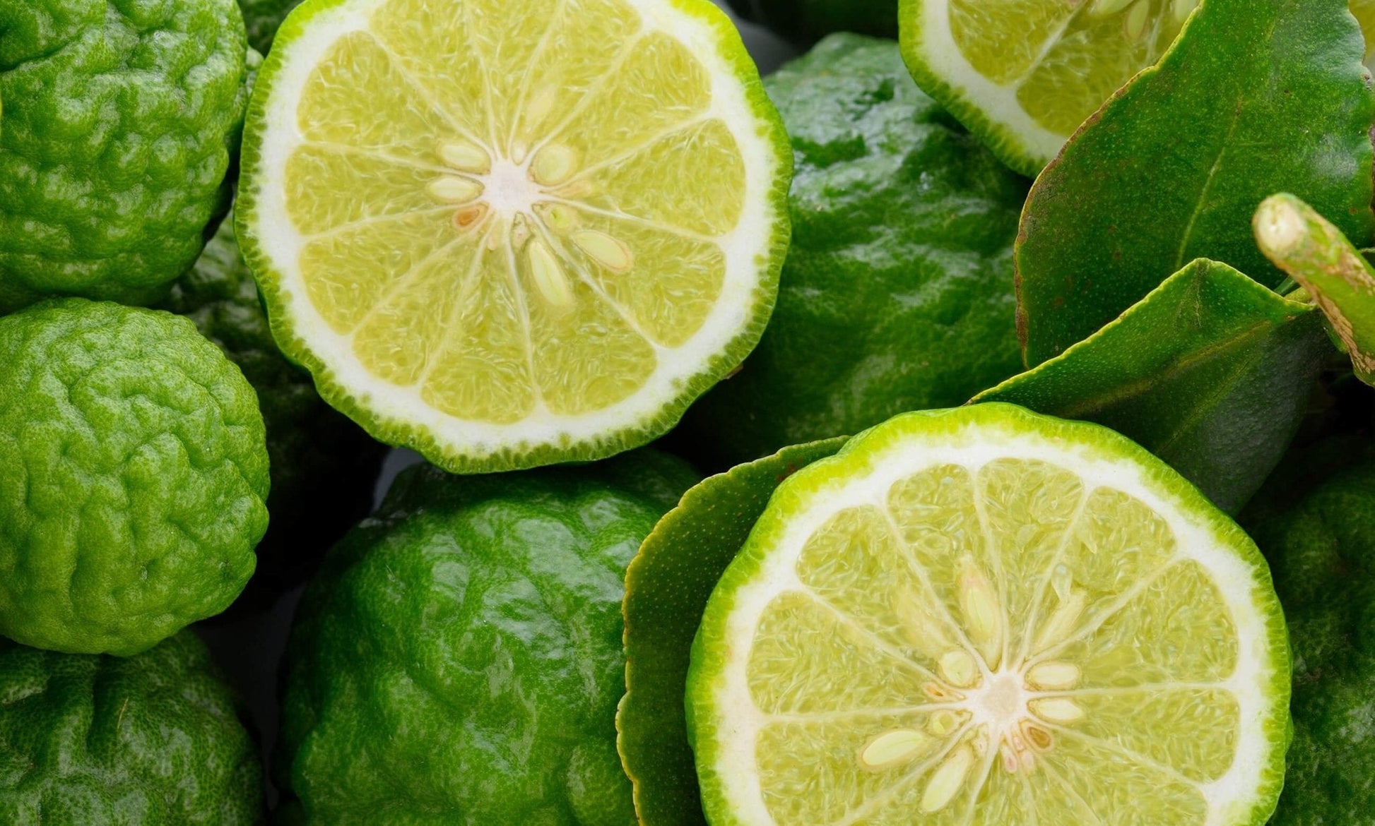 Citrus Bergamot