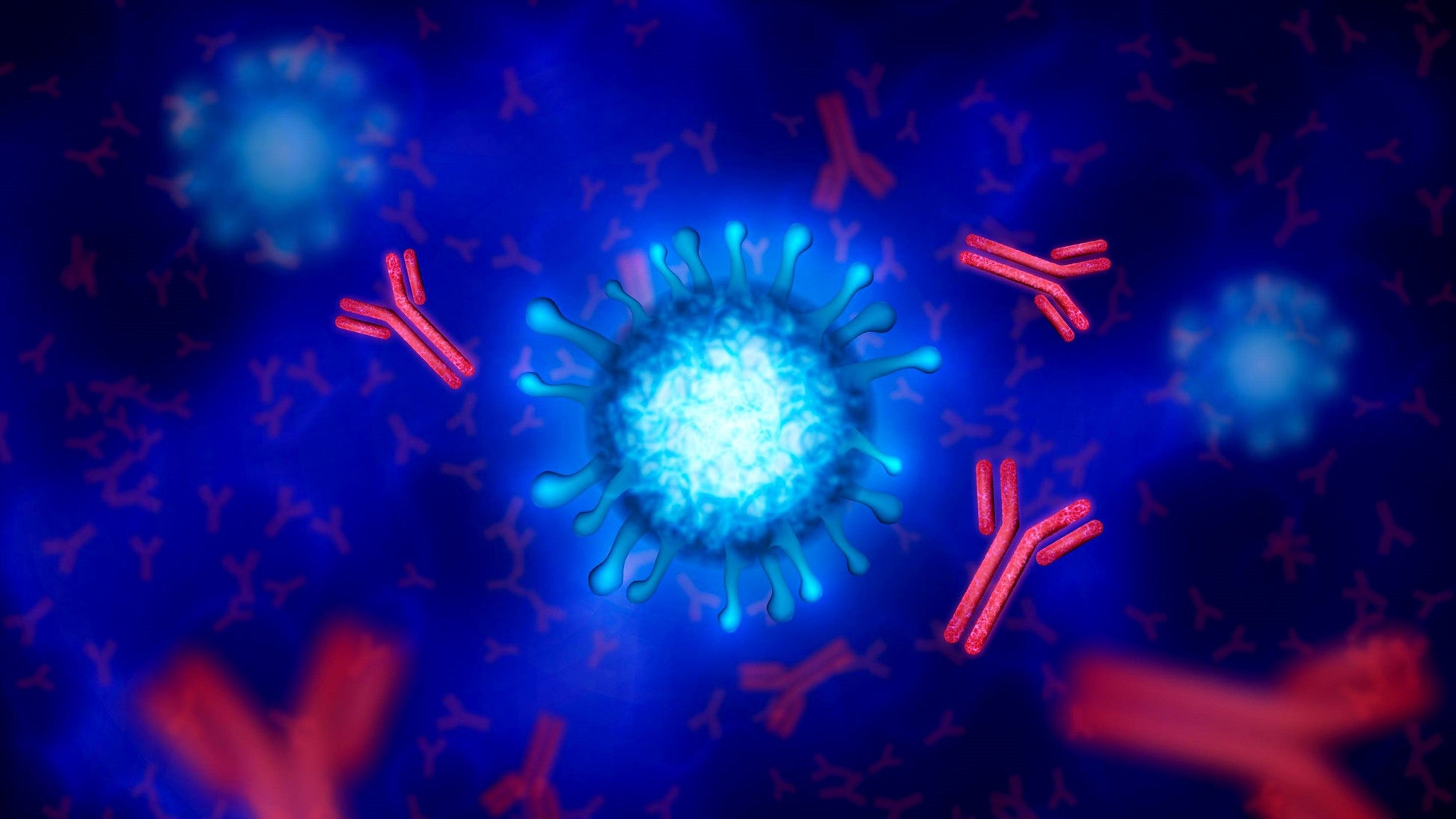 PHYCOCYANIN - The Heart of Spirulina and 10K Phycocyanin