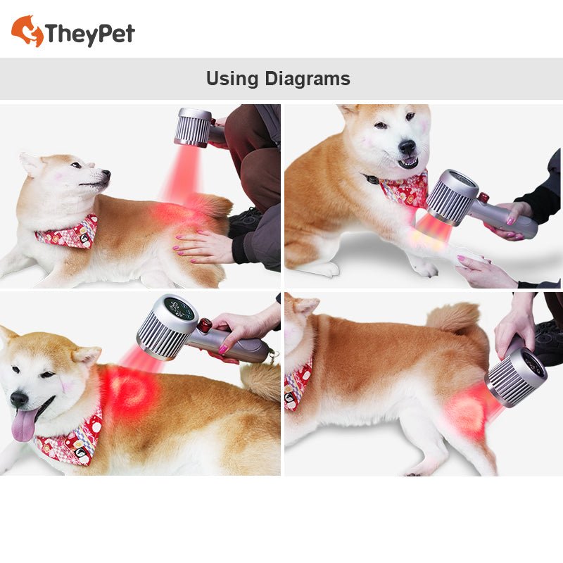 HD-CureX (Class IV laser)