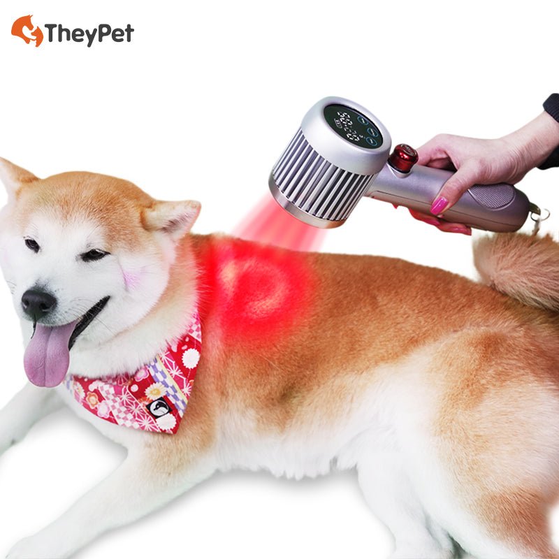 HD-CureX (Class IV laser)