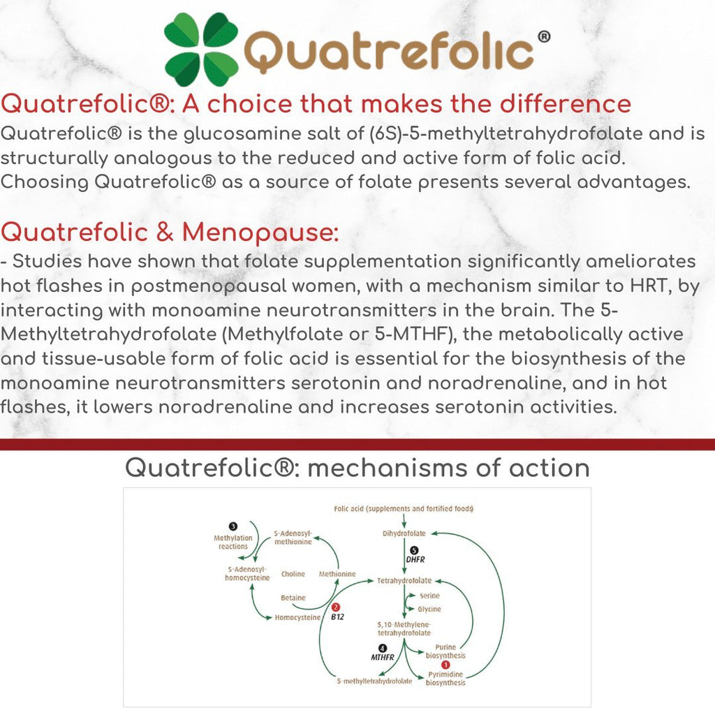 MenoPower® – Pre & Post Menopause Complex