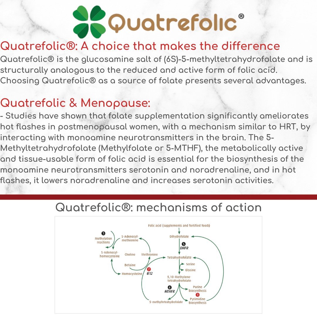 MenoPower® – Pre & Post Menopause Complex