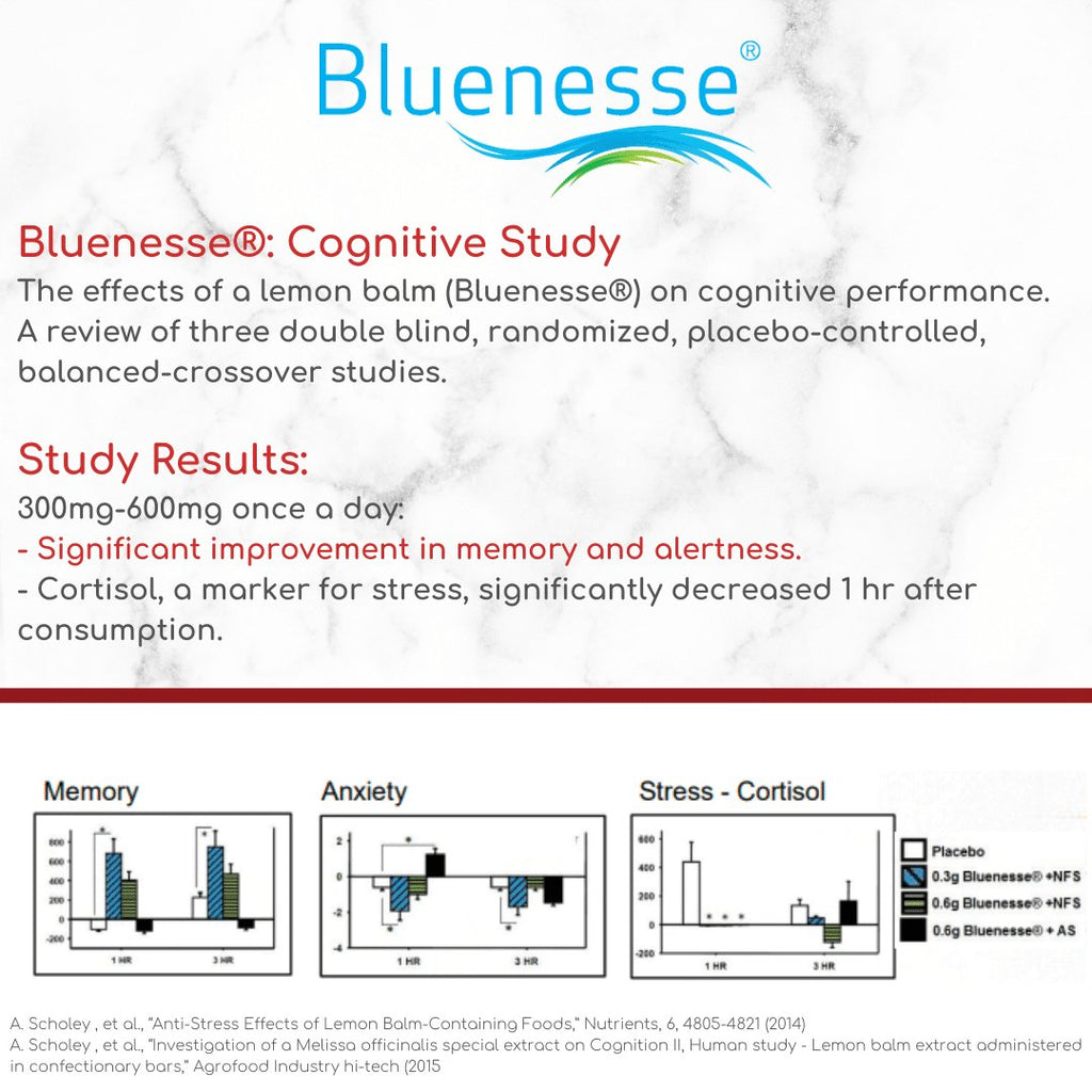 MenoPower® – Pre & Post Menopause Complex