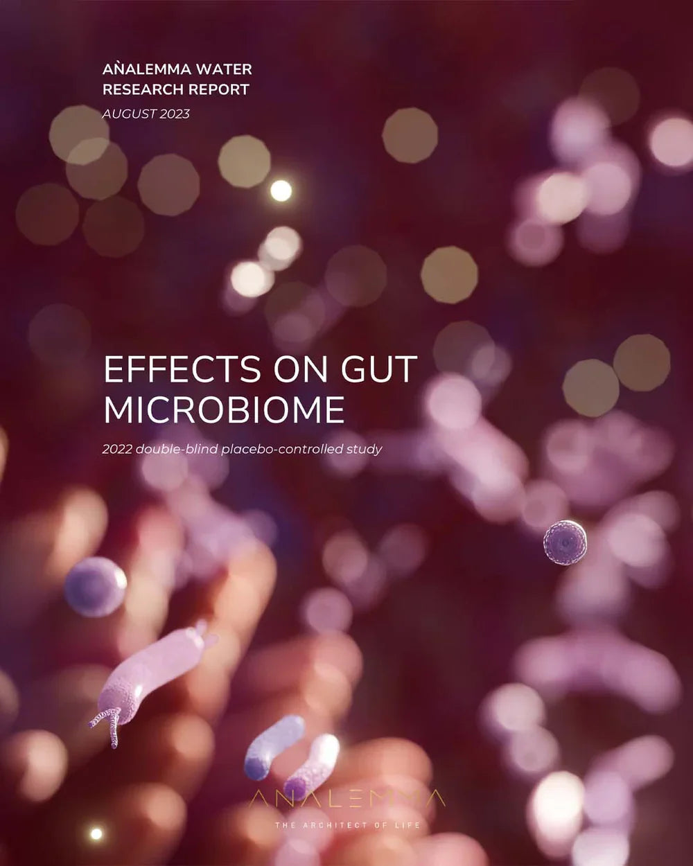 Analemma Water Bottle