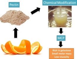 Modified Citrus Pectin (MCP) Capsules (60)