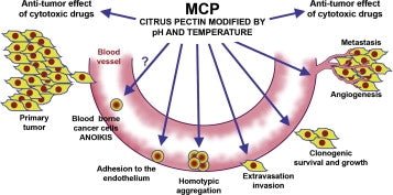 Modified Citrus Pectin (MCP) Capsules (60)