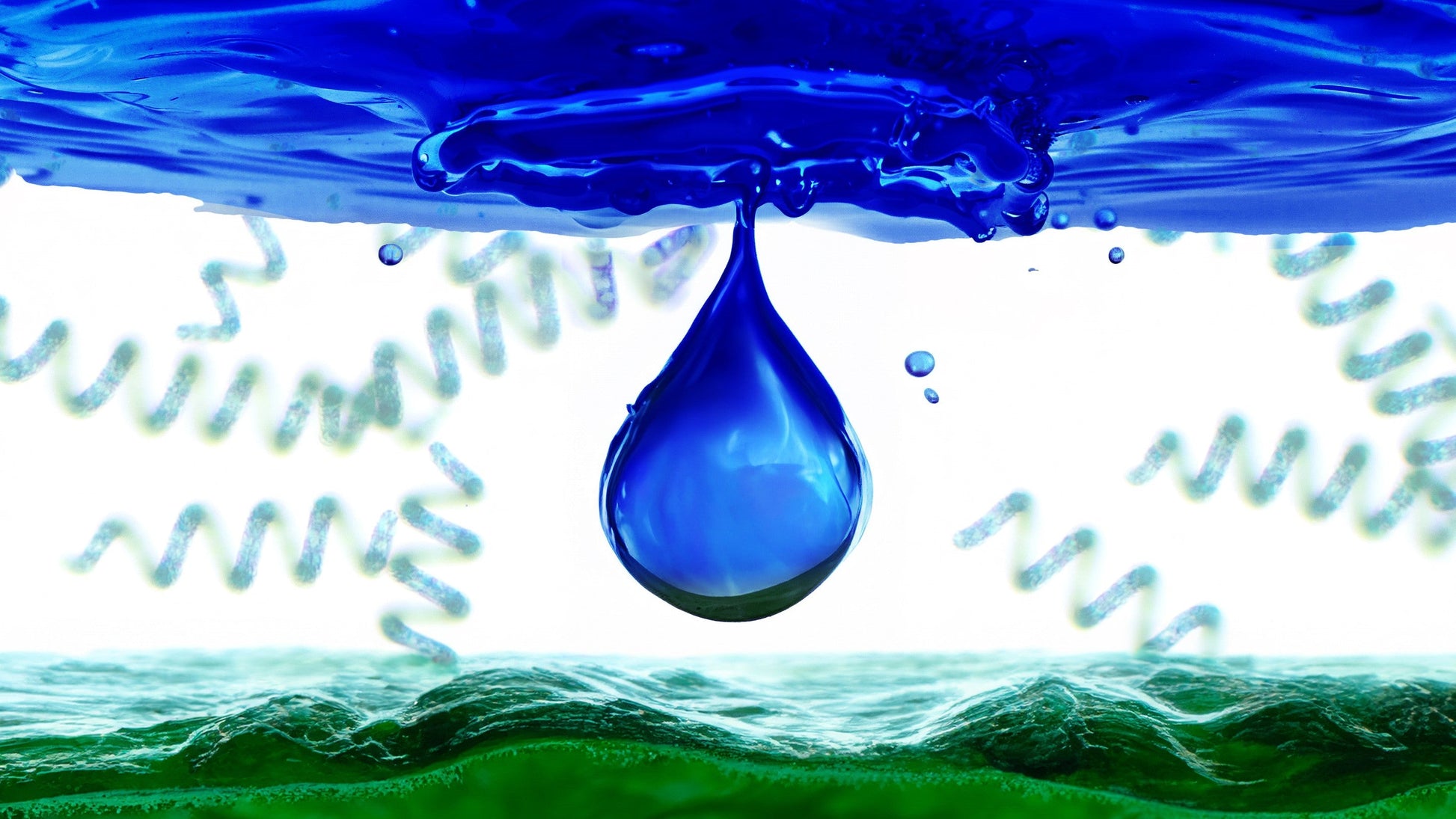 PHYCOCYANIN - The Heart of Spirulina and 10K Phycocyanin