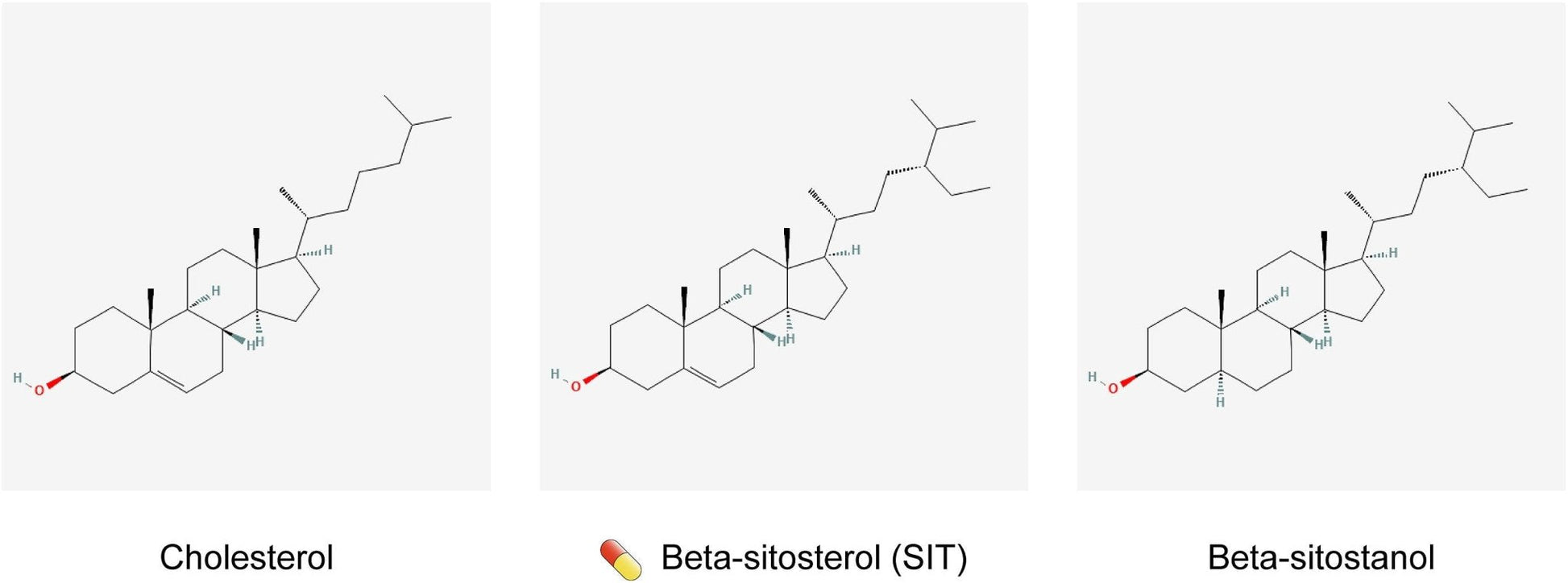 Plant Sterols – Beta-Sitosterol