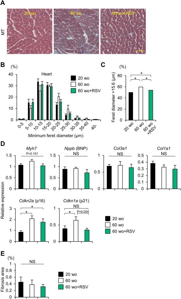 Purovitalis Liposomal Resveratrol (Date: 01.2026)