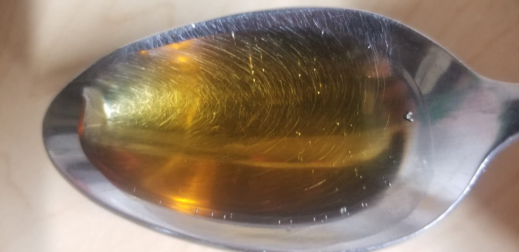 Performance Cardio+ (Date: 01.2026)