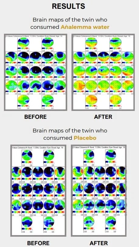 The Analemma Wand (luxury walnut)