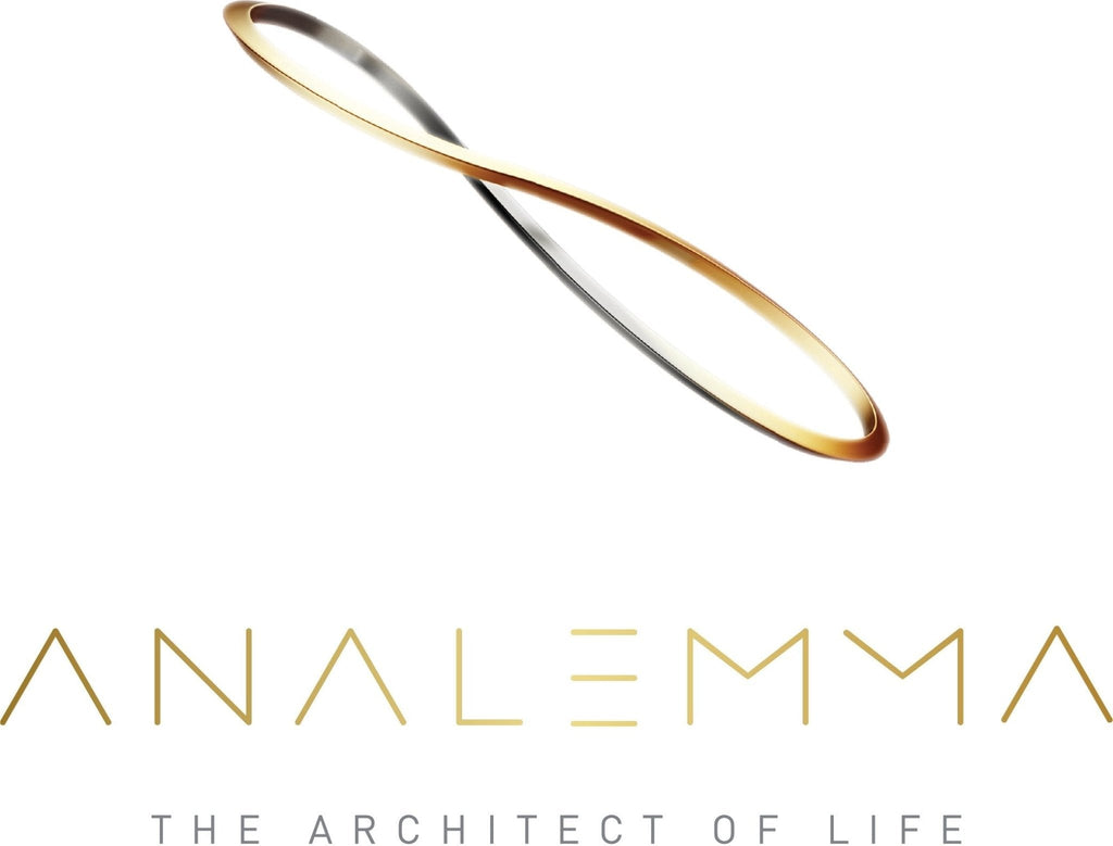 The Analemma Wand (luxury walnut)