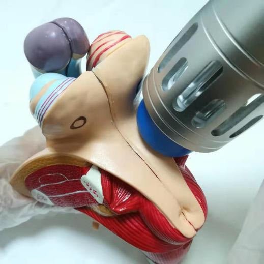 Uno Vita Focus Shockwave System (ED)