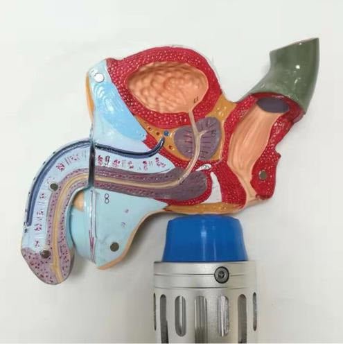 Uno Vita Focus Shockwave System (ED)