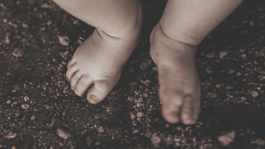 WaveRider - EMF Protection (MRET technology)