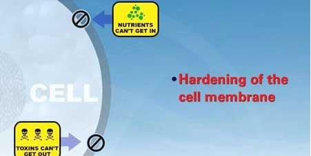 WaveRider - EMF Protection (MRET technology)